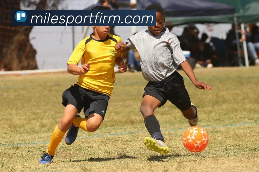 App Interface Preview