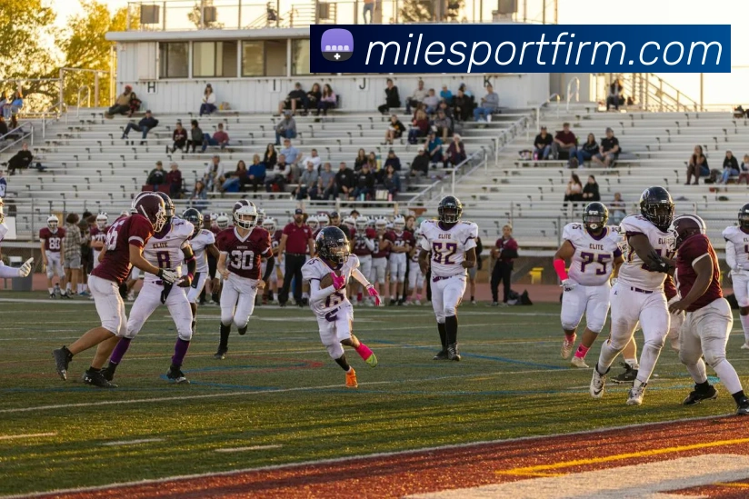 米乐体育APP 封面图